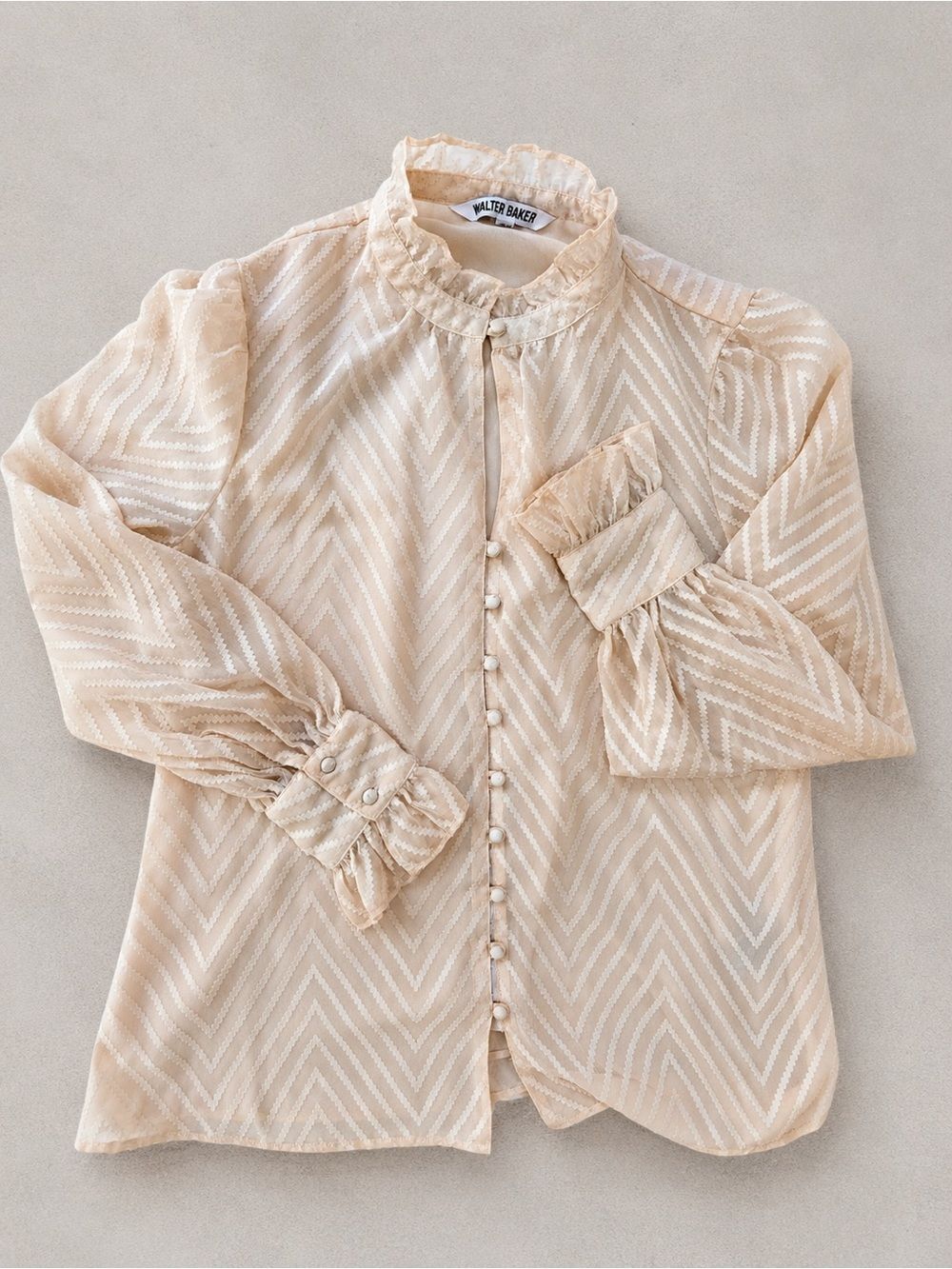 Walter Baker Blush Pink Chevron Textured Sheer Blouse Size S